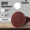 TUNDRA   d125 24 8  -    